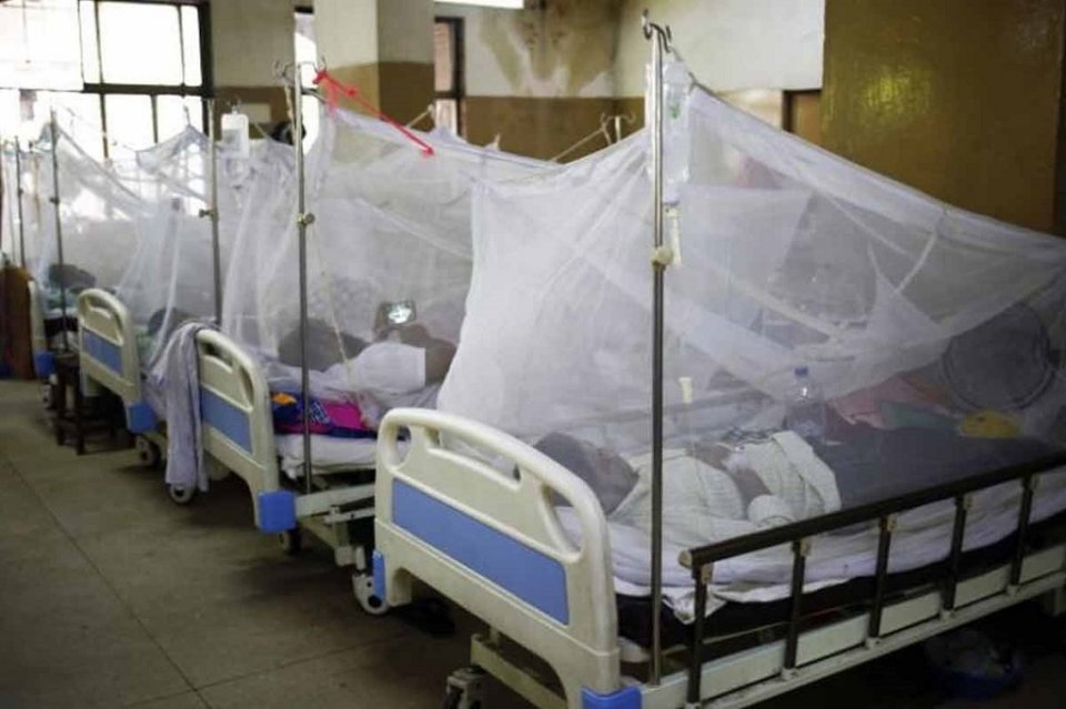 Philippines gaives nurakka dharajayakah dengue fethurenee