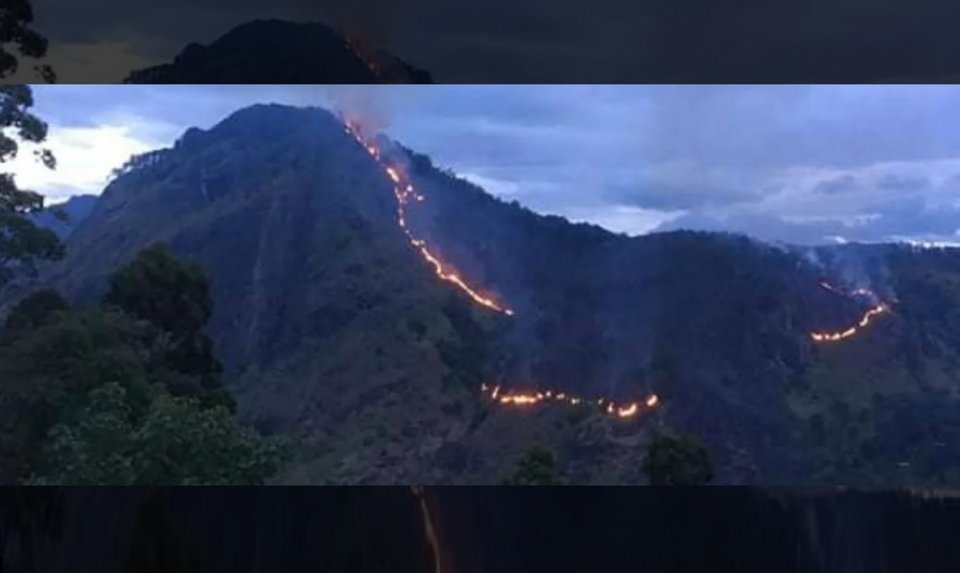 Sri Lankage Ella jangalithah roave andhanee