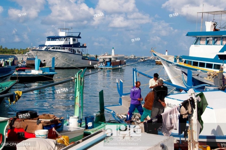 Male' ge badharu 24 gadi irah bandhu koffi!