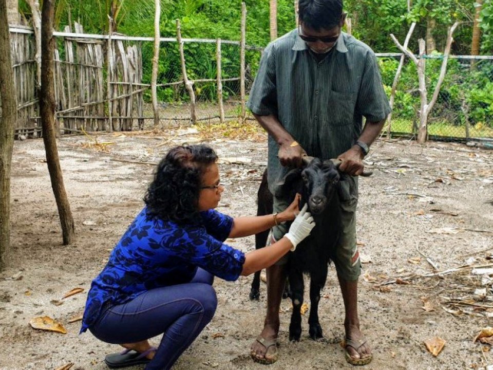 Janavaarun jehey bali dhenegathumah 4 rasheh gai program fashaifi