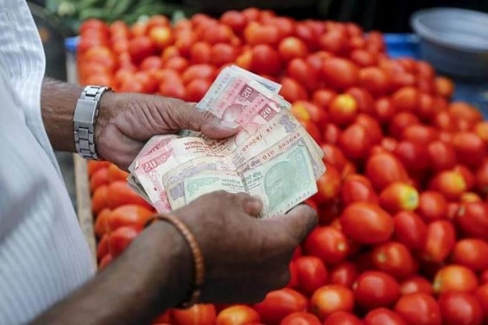 India gai fiyage aguthah dhashah goss tomato ge aguboduvejje