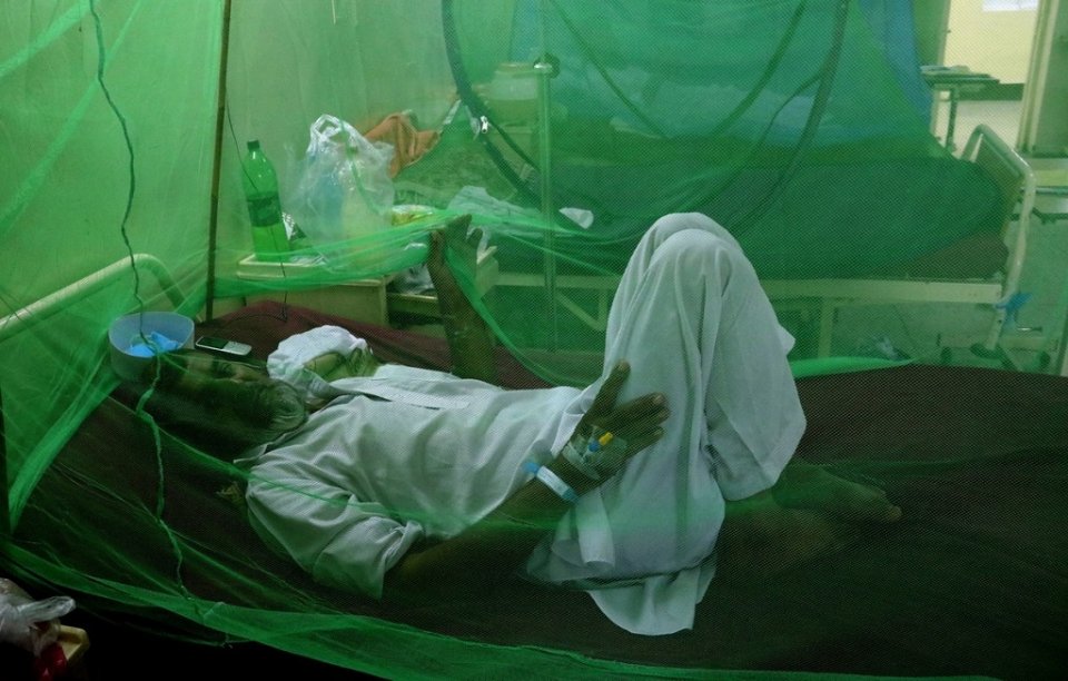 Karachi gai haluvikameku dengue fethurenee