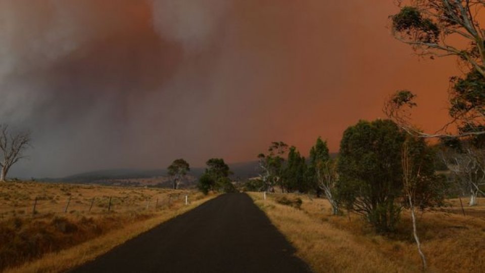 Australia alifangandu varugadhave reserve faujuthavves nerefi