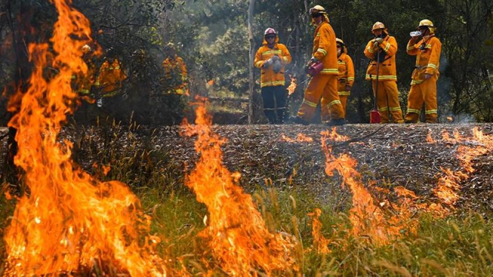 Alifanuge nurrakka aneikaves boduve, Australia alertah 