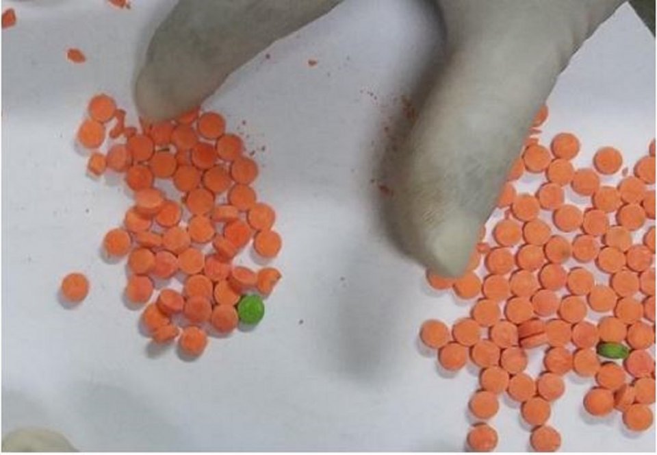 Over 1900 party 'pills' nabbed from Bangladeshi traveler