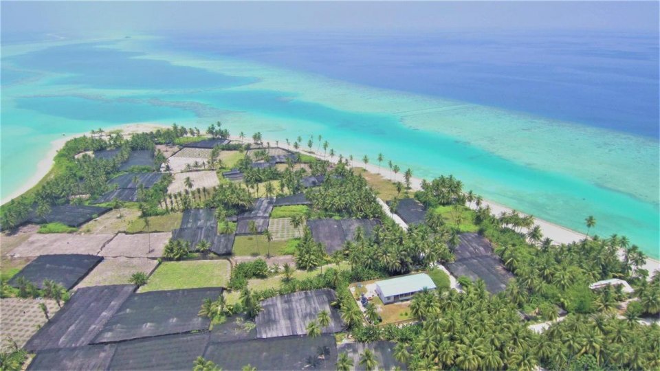 Kandoodhoo gondudhoshah mini kashithakeh laggaafai vanikoh fenijje