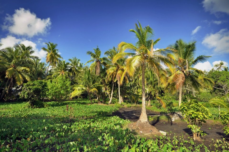 Fuvahmulah adhu Addu city UNESCO ge biosphere reserve akah!