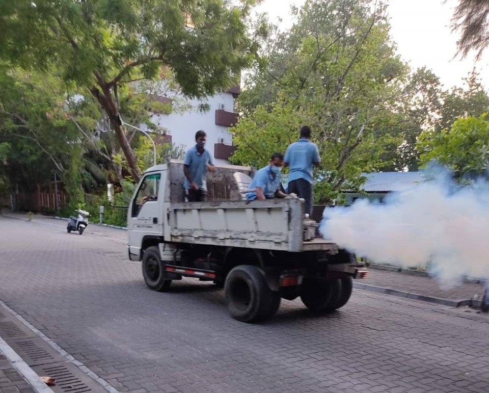 Villimale gai fog kurany