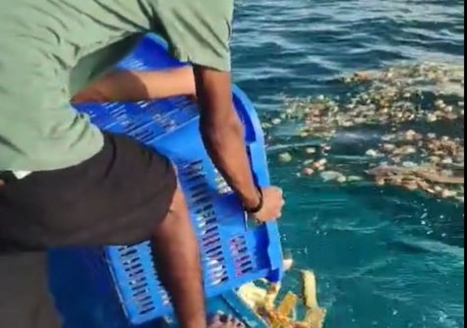 Resorts allowed to dump waste into sea till end of the year 
