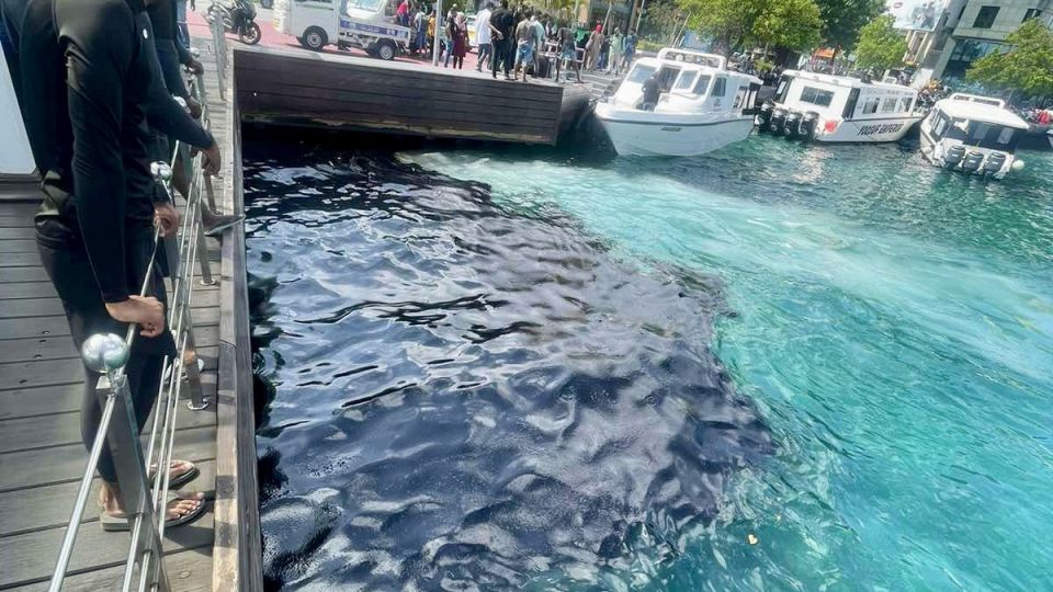 Male falhah elhunu theyo saafu kurun: 700 liter theyo nagaifi