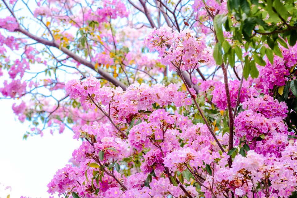 Bahaaru moosumuge reethikan Hulhumale ah