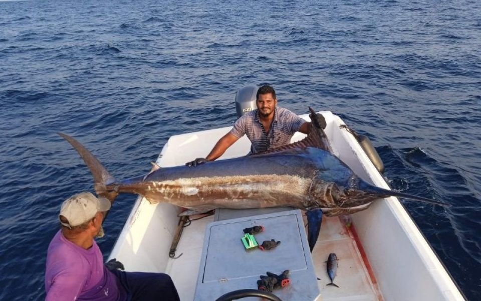 Man out fishing on his own reels in a 170 kg Marlin