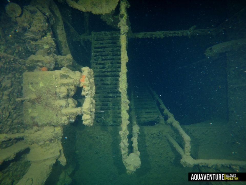 REPORT: 'British loyalty shipwreck' ajaibun furigenvaa diving pointeh