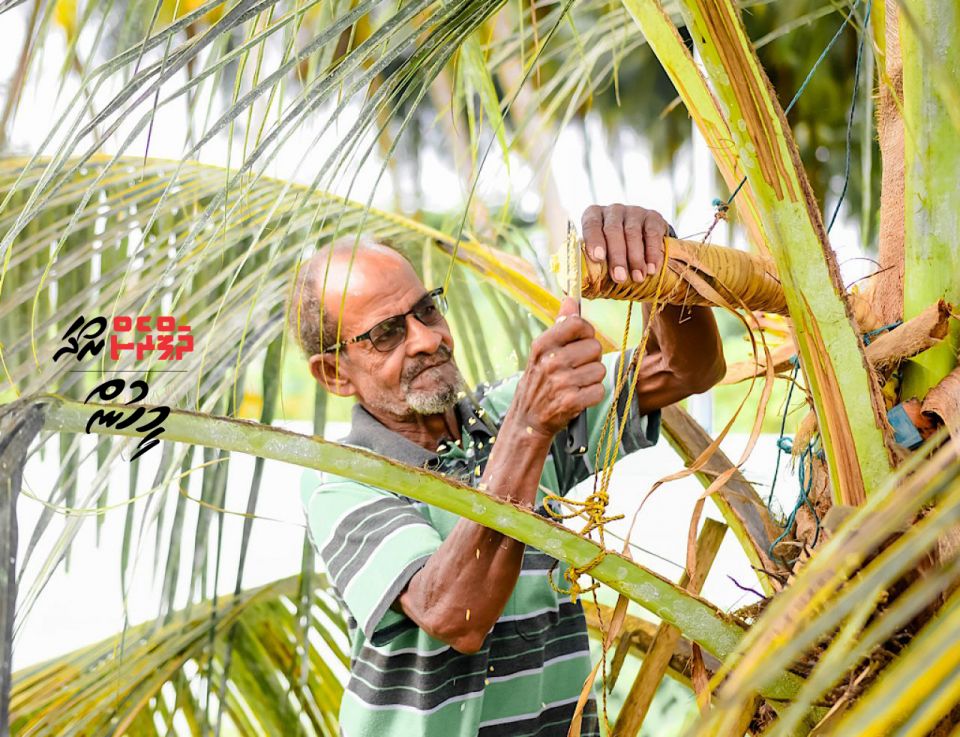 MEEHUN: Dhuvas vee raaveriyaa Nizar, nukuraakah kameh neiy!