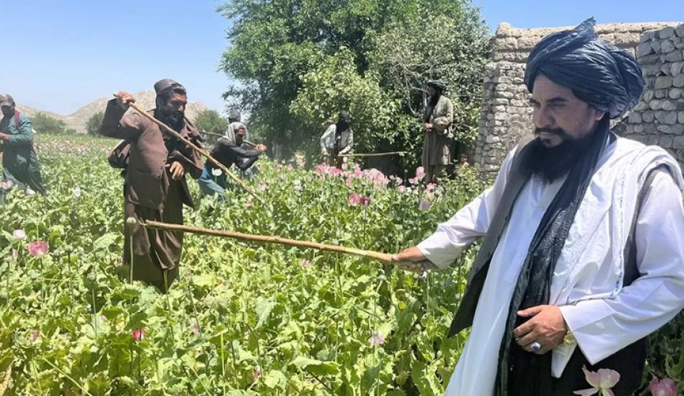 Afghanistan ge opium dhadhuthah sunnafathi kohllanee