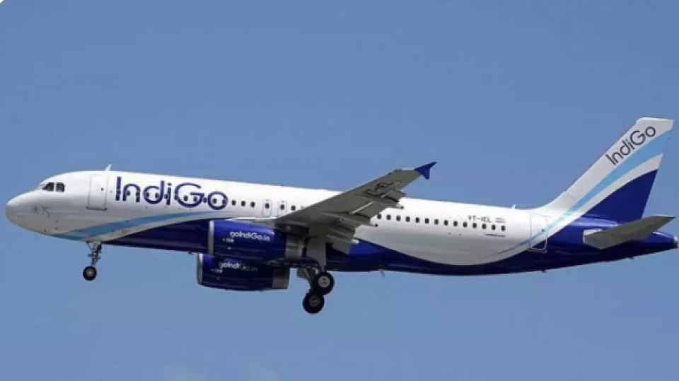 Maldivian man arrested for harassing cabin crew members on an IndiGo flight 