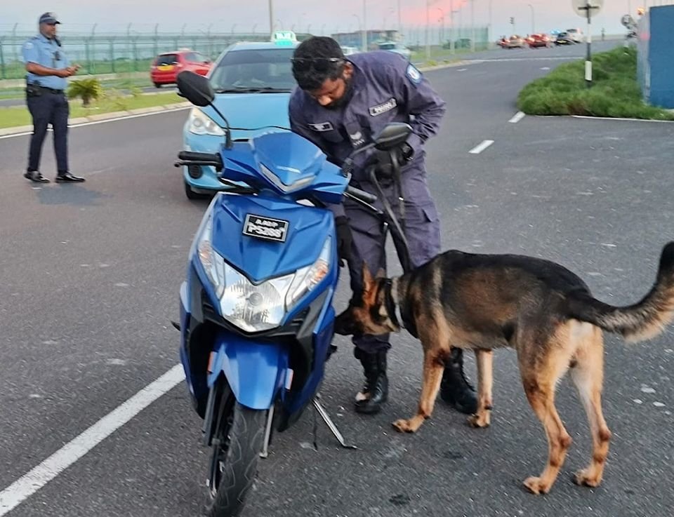 Police begins using dogs to monitor vehicles during traffic flow