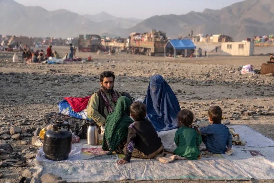 Pakistan’s top court hears petition to halt deportations of Afghans