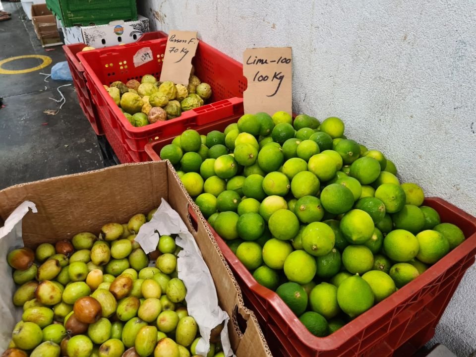 STO starts selling lemons at MVR 50 per kg