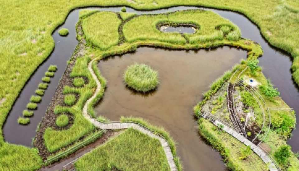 Miadhun feshigen Meedhoo eco garden ah vanumah fee eh nagaane