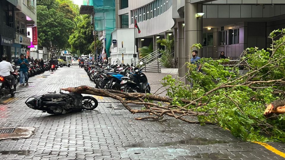 Vai gadhave Velaanaage kurimathee gai huri gaheh vetti gellun thakeh vehjje