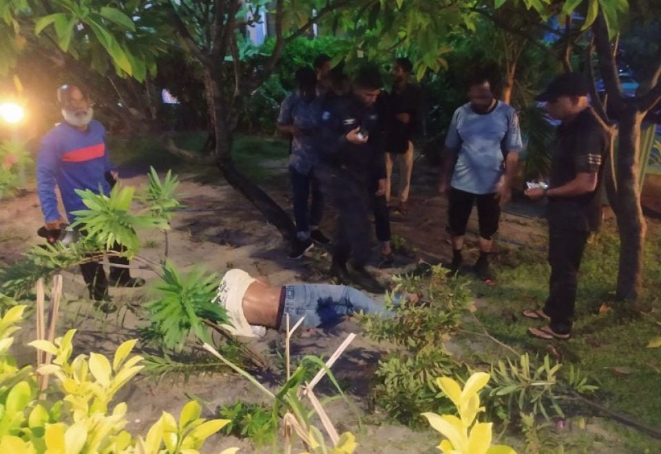 Dharubaaruge kairee hingi accidentgai aniyaavi meehaa ah hospitalgai faruvaa dhenee