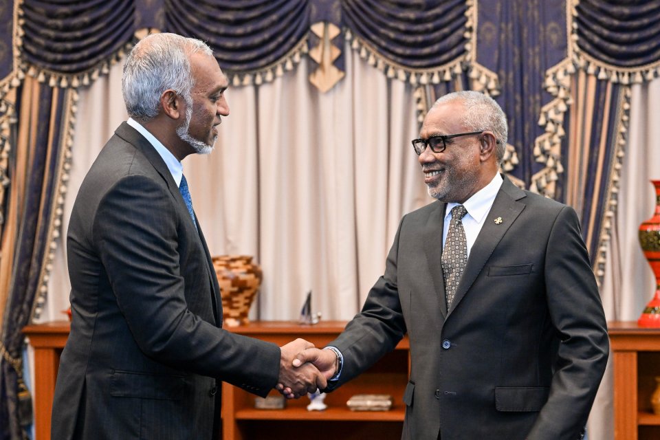 President meets with Speaker of  the Parliament