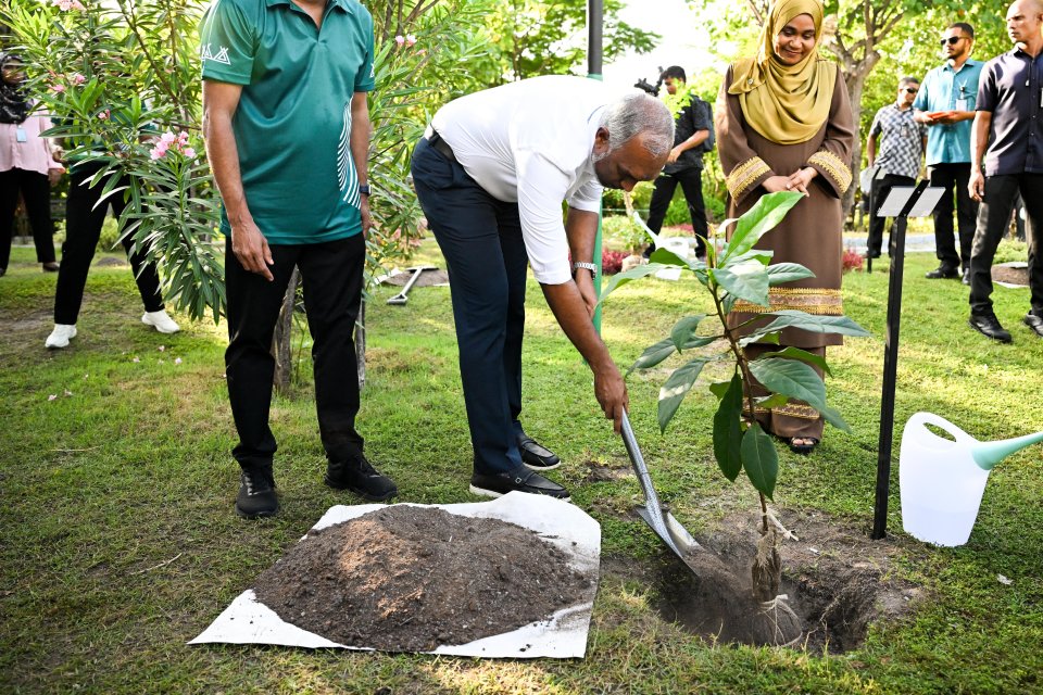First Couple inaugurates the 5 million Trees planting program