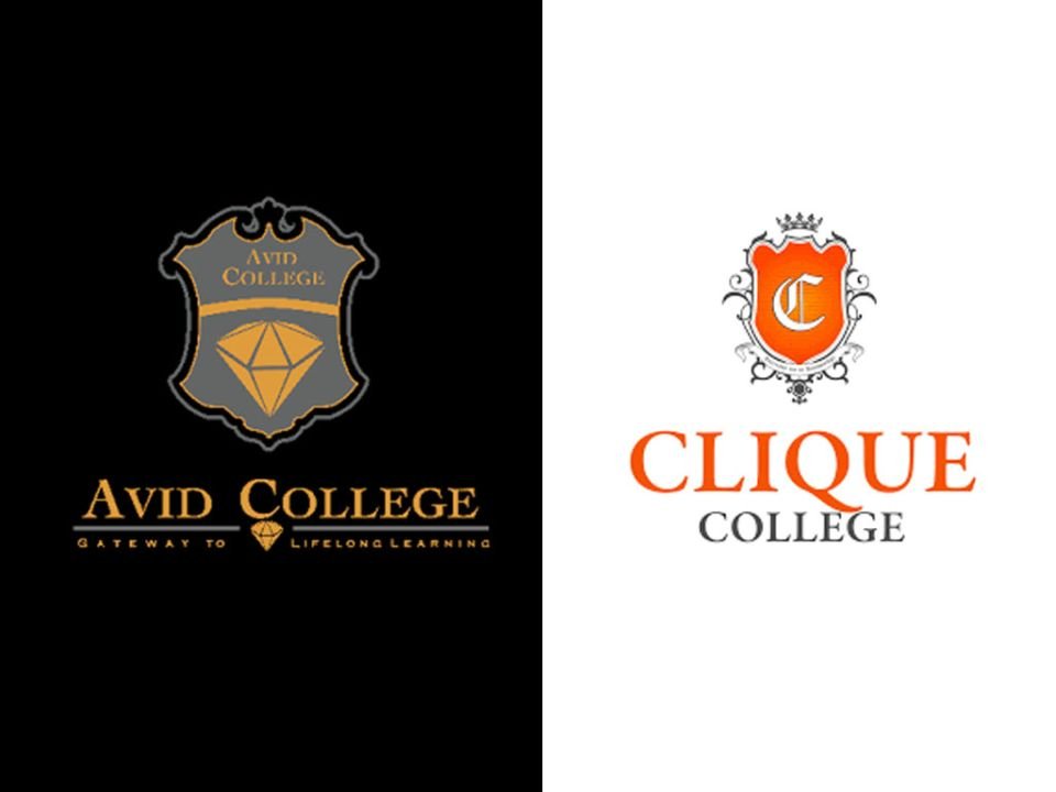 MQA takes action against Avid College and Clique college for running courses illegally