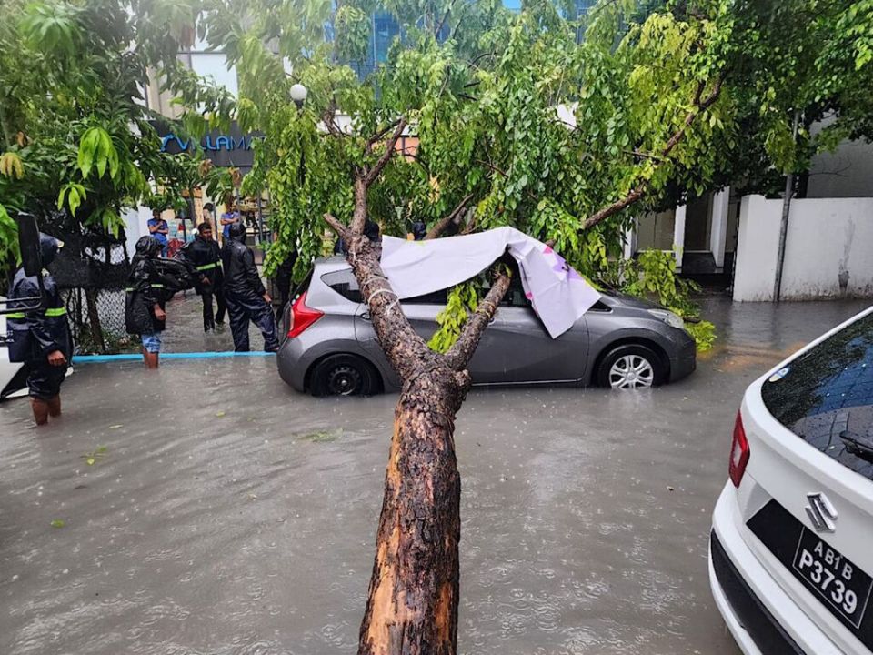 Gadha vaige sababun rehendhi hingumugai huri biya gaheh vetti gellun thakeh 