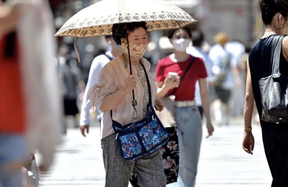 Alhaalaane meehaku nethi geygai ekani ove Japan gai 40,000 meehun maruvejje