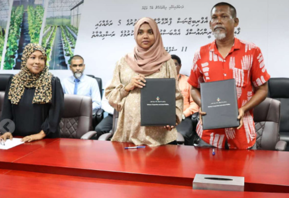 Uthuruge 5 rasheh gai green house gaaimu kurumah ehbas vumugai soi koffi