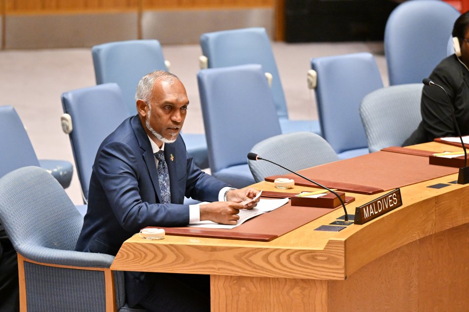 We must abolish the veto: President tells the UNSC