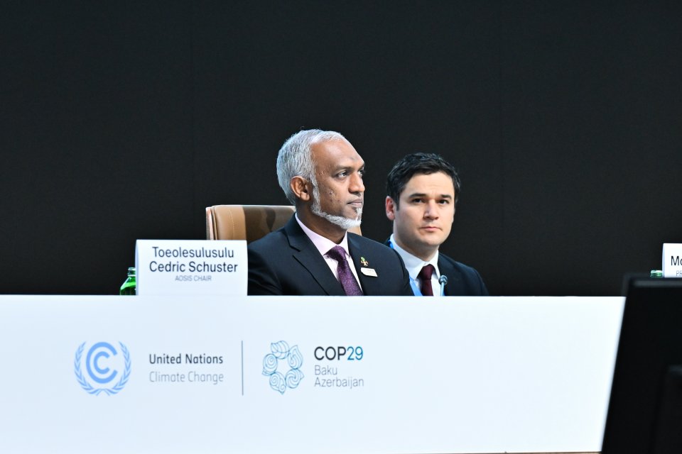 COP 29: President calls for promises to be transformed into tangible action