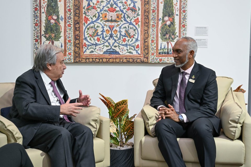 COP 29:  President meets with the UN Secretary General