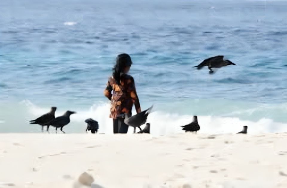 Vaalaai kaalhuge adhadhu dhenegane, e thakethi balahattan ehmme rangalhu gothakee kobaithw balanee
