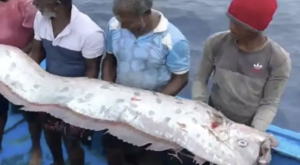 Miothee e mas araafai, kaarisaage inzaaru dhey maheh kamah buney!