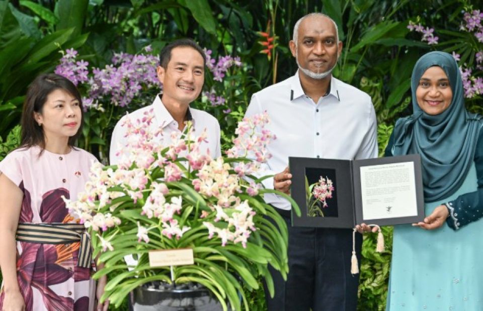 Raees ge dhekanbalunge namah khaassa kuri Singapore Orchid
