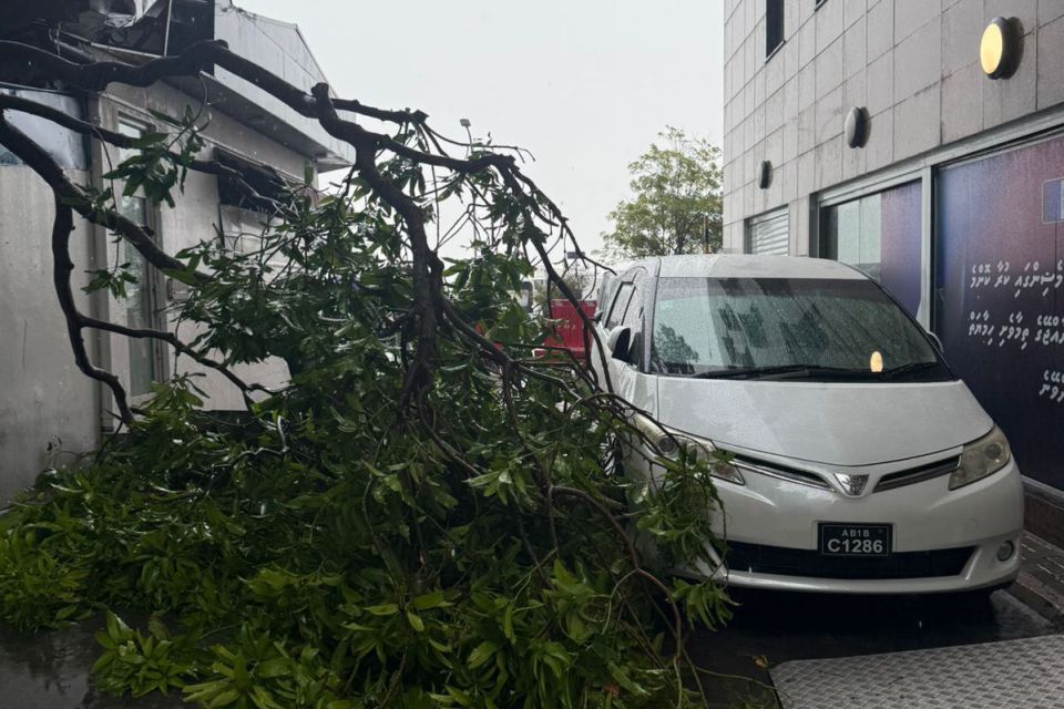 Gadhavayaaeku Hulhumale' adhi male'gai huri gasthah vehti gehlunthakeh