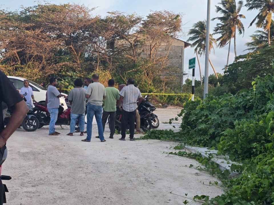 Postmotom hedhumaai gulhey gothun adhi vaki gotheh nuninmaathee dhe meehunge hashigandu ves morchery gai!