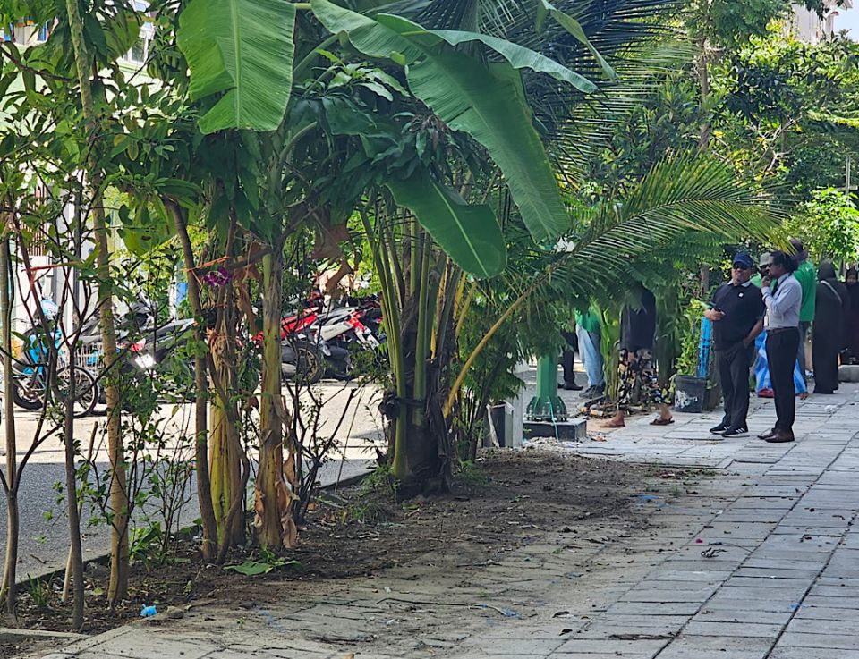 Hiyfaseyha Hulhumale': Hedge thakugai hedhifai huri biya gasthah nagai, parkuthakugai indhanee