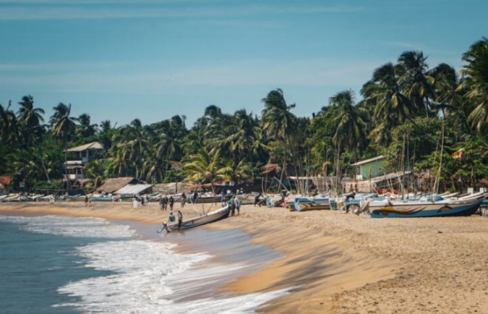 Lanka ge Arugam Bay ah terrorist hamala eh dheefaane kamuge inzaaraa eku samaalu vumah ilthimaas kohffi