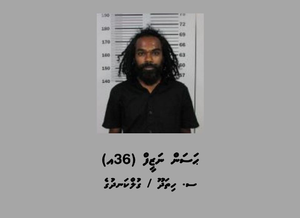 Operation Alimagu: Addu ge 10 thaneh balaa faaskoh 10 meehaku hayyaru koffi 