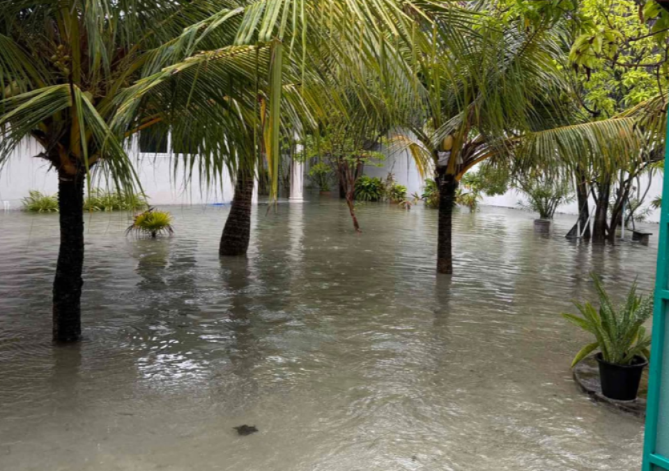 Gdh.Thinadhoo ah boakoh vaarey vehi, fenboduve eki varuge gellun vejje