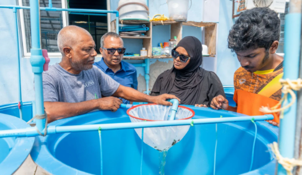 Moodhu koshi finance koh dhinumah maricultural scheme thaarafu koffi