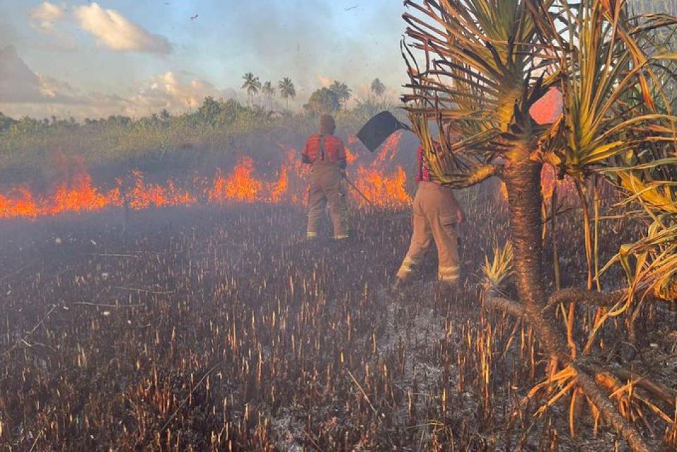 Hithadhoo SHEESHAA kurimathee oiy chasbimugai roavi alifaan nivvaalaifi
