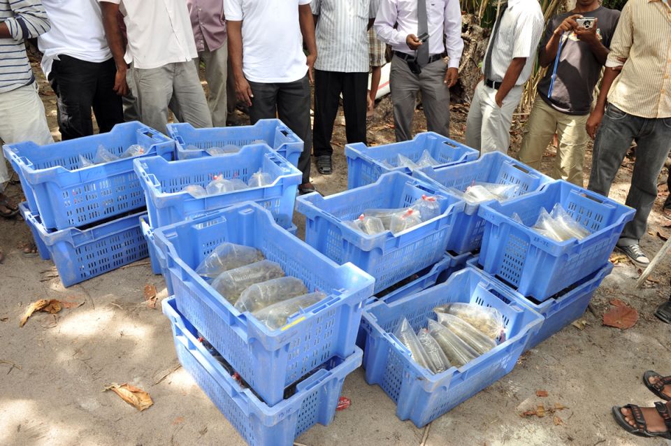 Neelamugai vikkan hulhuvaalee hiyaanaathuge massalaehgai himeney 2 million rufiyaage hufilandaa: Police 