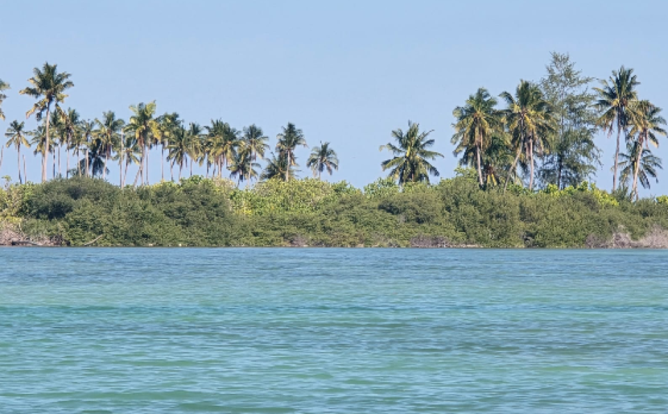 REPORT: Addu city Hithadhoo falhuvi Dhiyoge kulhivarakee haqeegatheh tha?