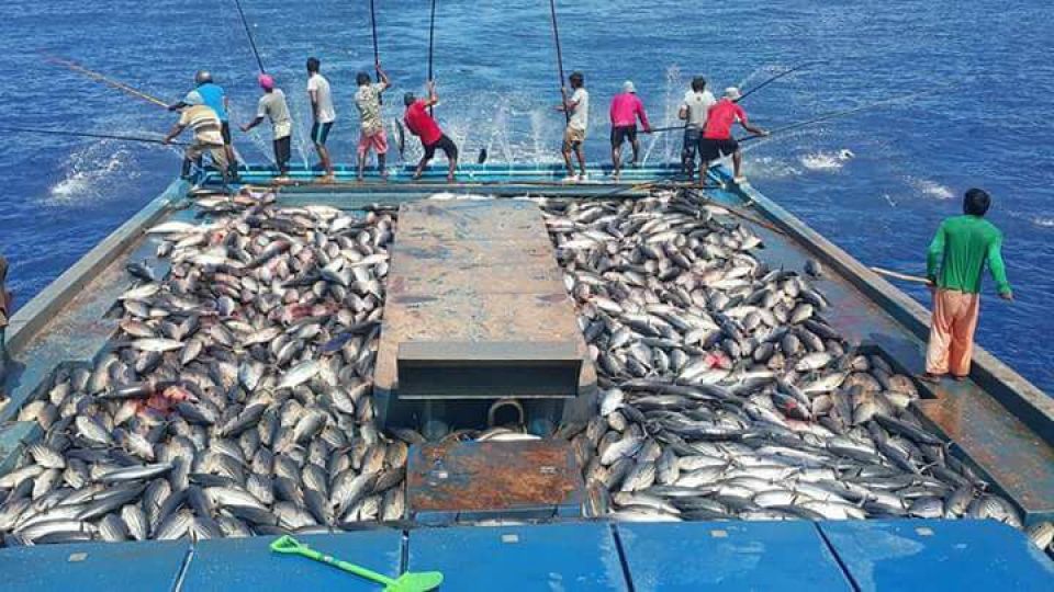 Raajjeyge kandu mahuge masverikamah furathama faharah America ge haassa rating eh!