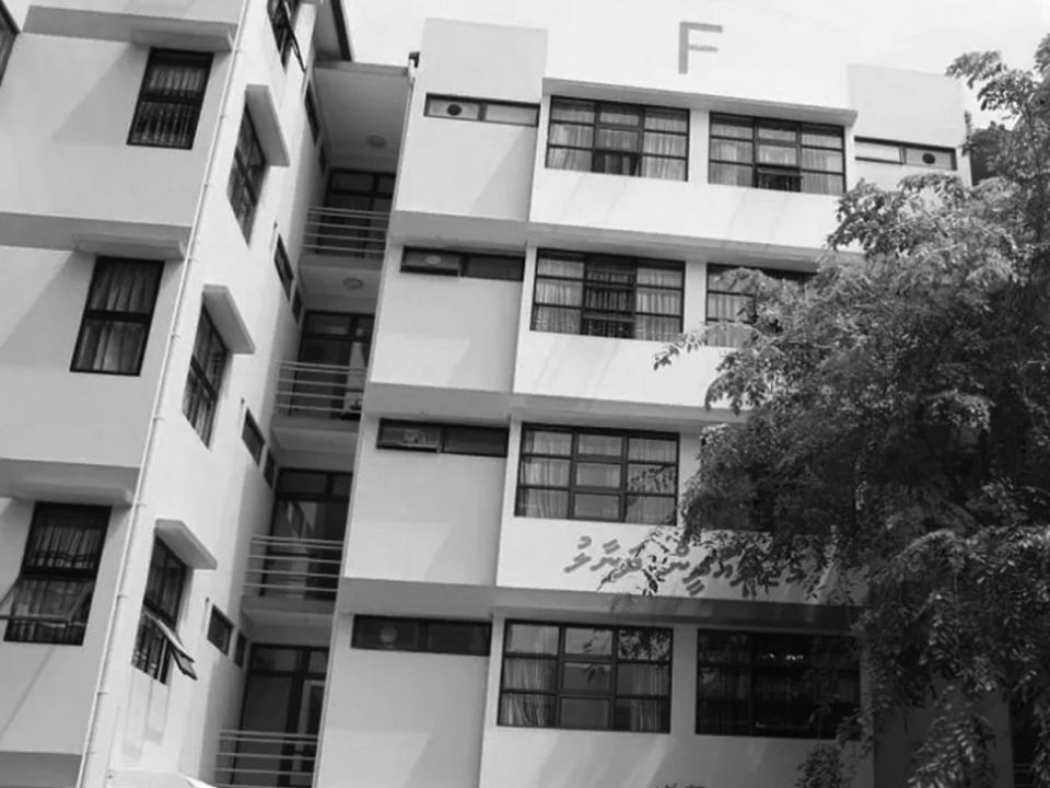 Dhanaal gai niyaavi zuvaanaa: Fuluhun amalu kuri goiy review kuranee